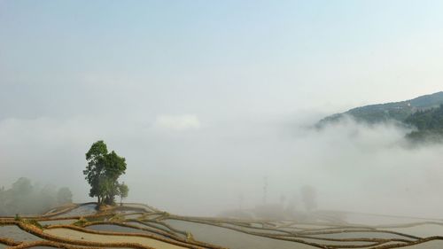 Scenic view of landscape against sky