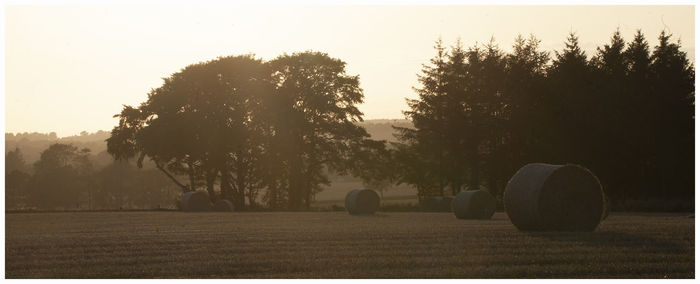 Hay bales on field against sky