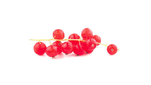 Close-up of cherries against white background