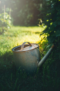 Close-up of watering can on grass