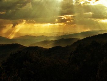 Scenic view of forest against sky