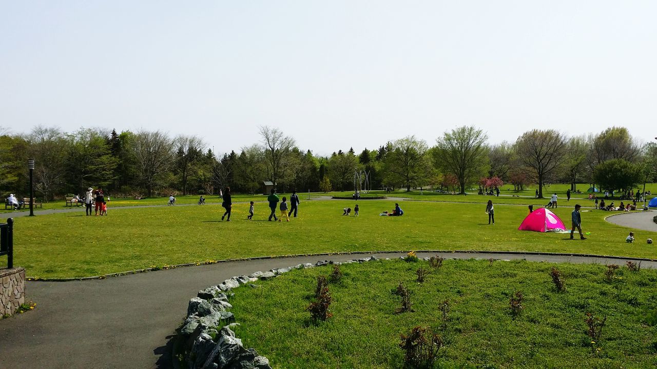 large group of people, grass, tree, clear sky, park - man made space, leisure activity, person, green color, men, lifestyles, mixed age range, field, park, enjoyment, growth, fun, copy space, grassy, nature