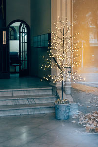 View of electric lamp