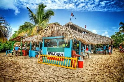 Palm trees on beach