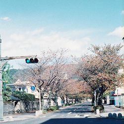 Road along buildings