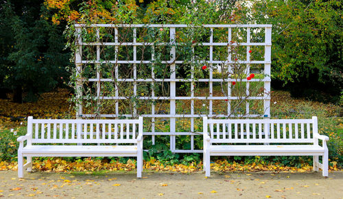 Empty bench in park