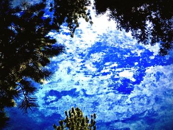 Low angle view of trees against cloudy sky