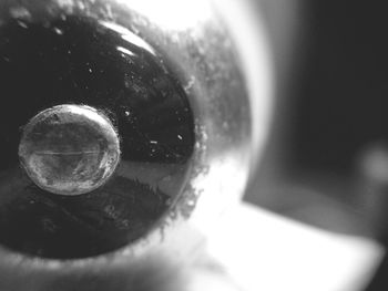 close-up