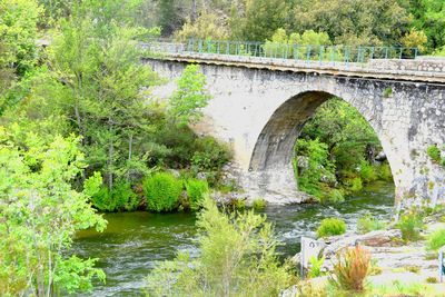 Arch bridge over river in forest