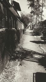 Walkway along trees