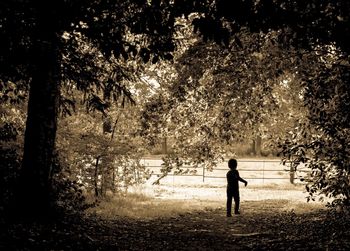 Full length of boy standing on tree