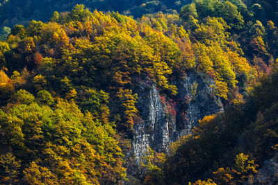 Autumn in the caucasus mountains. argun gorge in the chechen republic.