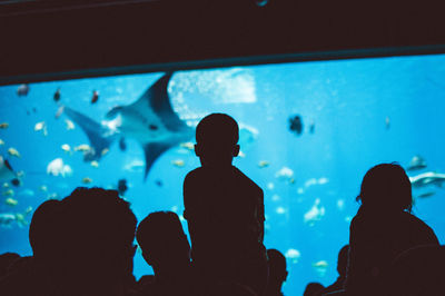 Rear view of silhouette people in aquarium