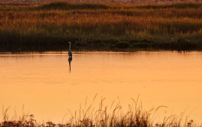 Scenic view of lake at sunset