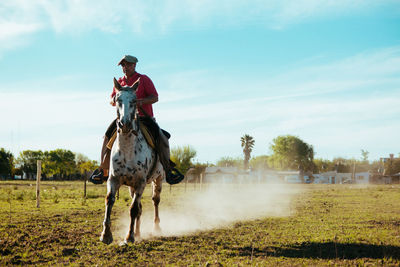 Man riding horse speed