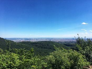 Scenic view of landscape against blue sky