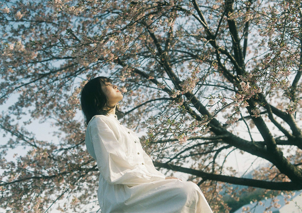 LOW ANGLE VIEW OF WOMAN AGAINST WHITE TREES
