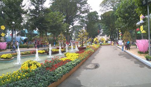 People on flowers by trees against sky