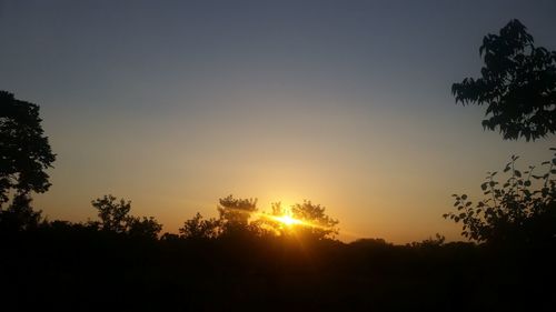 Silhouette trees against sky during sunset