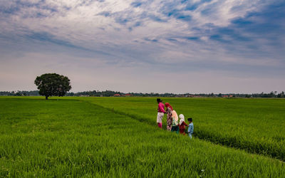 Scenic view of grassy field against sky