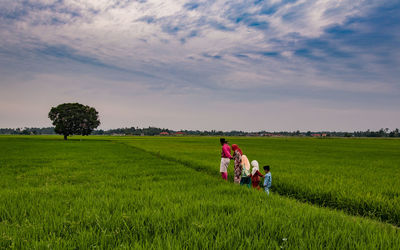 Mother and father with children walking on rice paddy field