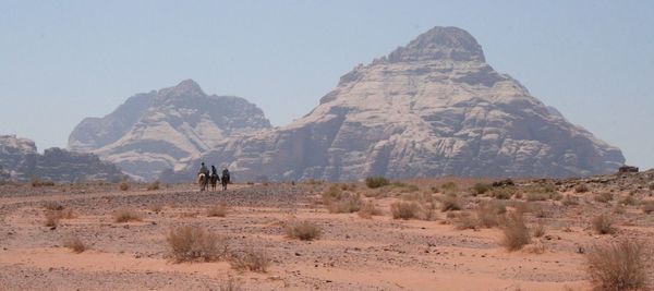 View of people riding horse in desert