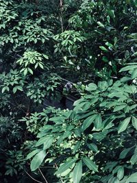 Person standing by tree