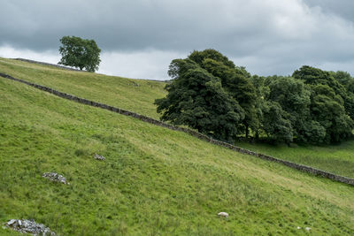 Scenic view of rural landscape