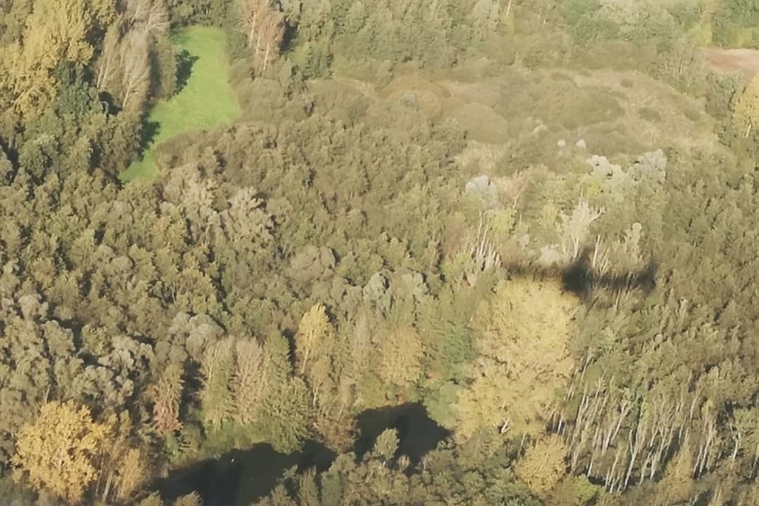 high angle view, beauty in nature, environment, day, nature, scenics - nature, landscape, no people, tranquility, water, non-urban scene, land, tranquil scene, mountain, aerial view, outdoors, tree, plant, sunlight