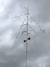 Low angle view of birds hanging on barbed wire against sky