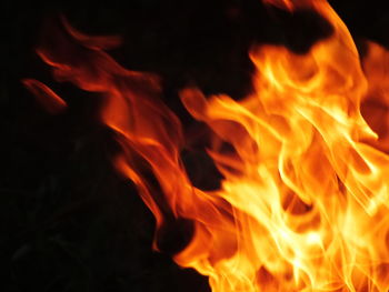 Close-up of bonfire at night