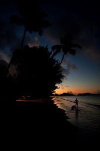 Silhouette of palm trees at sunset