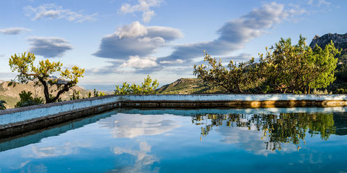 Reflection of trees in swimming pool against sky