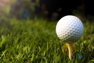 Close-up of golf ball on grass