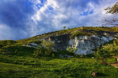 Low angle view of trees on mountain against sky