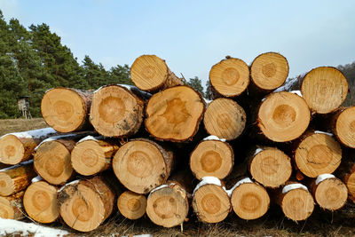 Stack of firewood