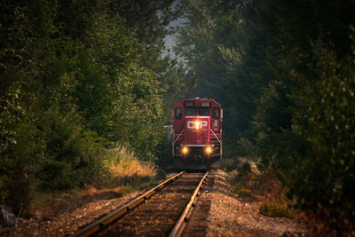 Train on railroad track by trees against sky