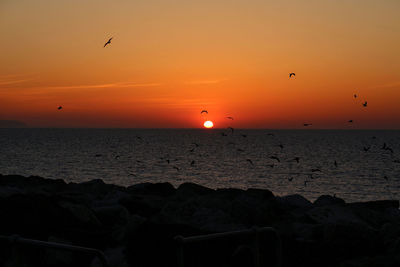 Silhouette bird flying over sea during sunset