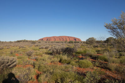 Scenic view of landscape against clear sky