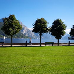 View of people relaxing on grass