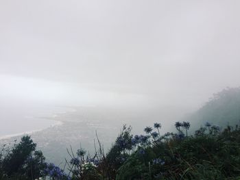 Scenic view of landscape against sky