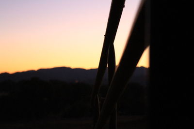 Close-up of silhouette against clear sky during sunset