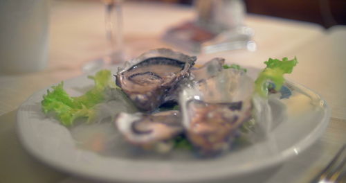 Close-up of food served in plate