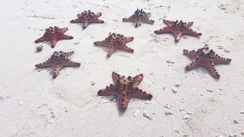 Close-up of christmas decorations on sand