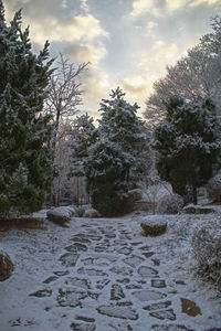 Scenic view of snow covered land against sky