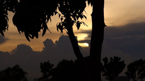 Low angle view of silhouette trees against sky at sunset