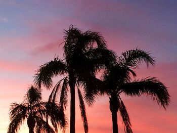 Silhouette of palm trees at sunset