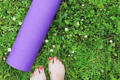 Low section of woman wearing shoes on grass