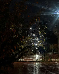 Illuminated street amidst trees during rainy season