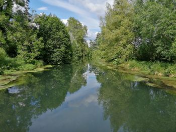 Reflection of trees in lake against sky
